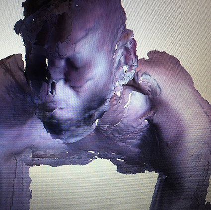 Interrupted 3D scan by artist Paul Coombs